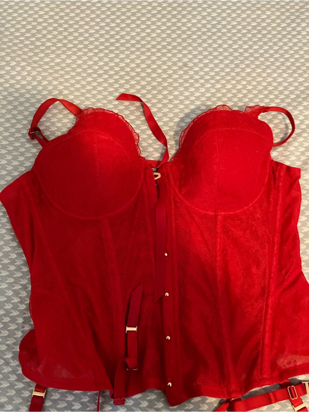 Savage X Fenty Red Lace Longline Bustier with Garters